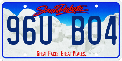 SD license plate 96UB04