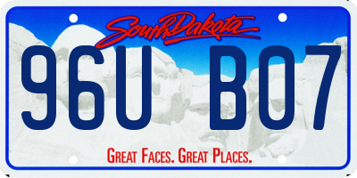 SD license plate 96UB07