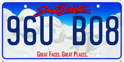 SD license plate 96UB08