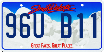 SD license plate 96UB11
