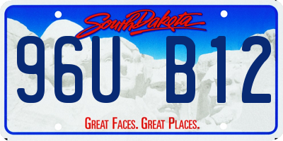 SD license plate 96UB12
