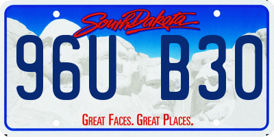 SD license plate 96UB30