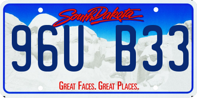 SD license plate 96UB33