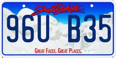 SD license plate 96UB35