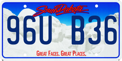 SD license plate 96UB36
