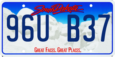SD license plate 96UB37
