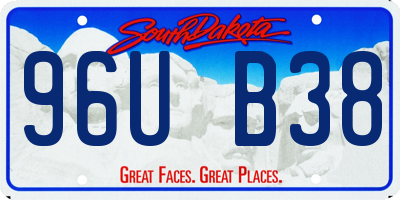 SD license plate 96UB38