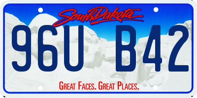 SD license plate 96UB42