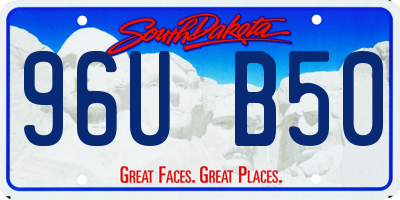 SD license plate 96UB50