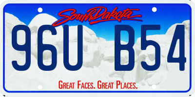 SD license plate 96UB54