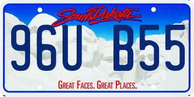 SD license plate 96UB55