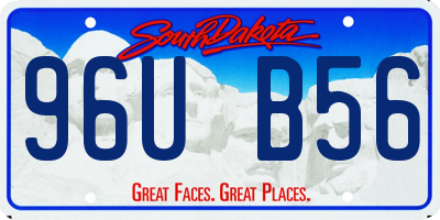 SD license plate 96UB56