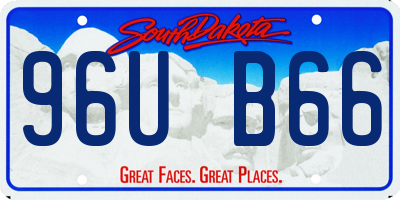 SD license plate 96UB66