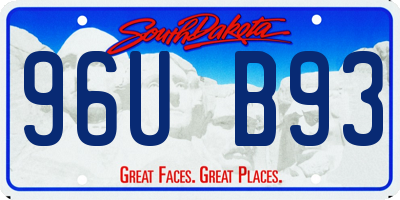 SD license plate 96UB93
