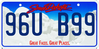 SD license plate 96UB99