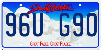 SD license plate 96UG90
