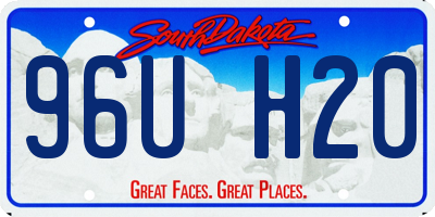 SD license plate 96UH20