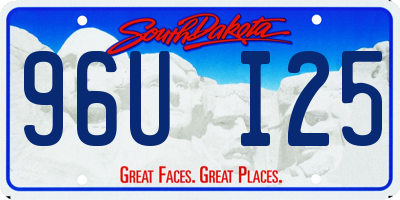 SD license plate 96UI25