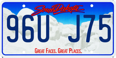 SD license plate 96UJ75
