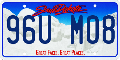 SD license plate 96UM08