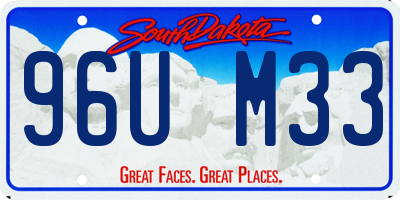 SD license plate 96UM33
