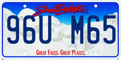 SD license plate 96UM65