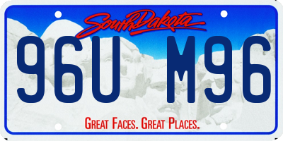 SD license plate 96UM96