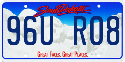 SD license plate 96UR08