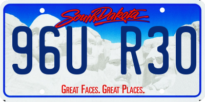 SD license plate 96UR30