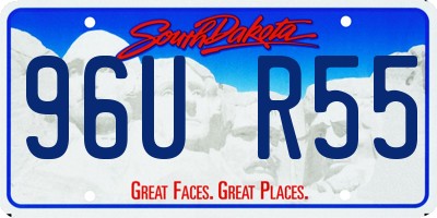 SD license plate 96UR55