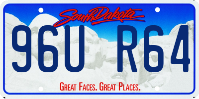 SD license plate 96UR64