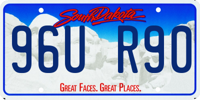 SD license plate 96UR90