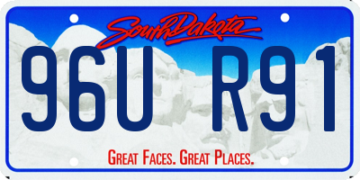 SD license plate 96UR91