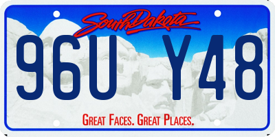 SD license plate 96UY48