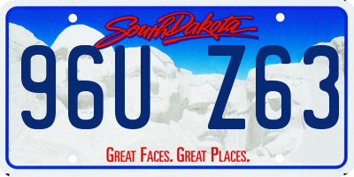 SD license plate 96UZ63