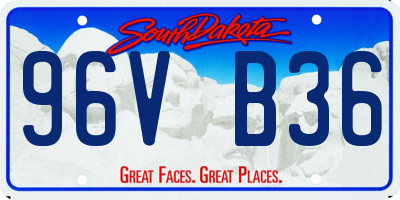 SD license plate 96VB36