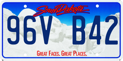 SD license plate 96VB42