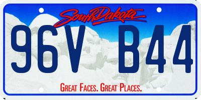 SD license plate 96VB44