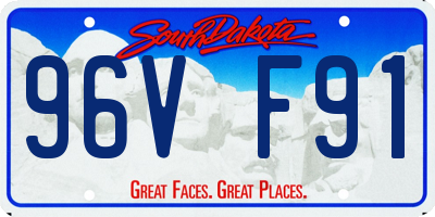 SD license plate 96VF91
