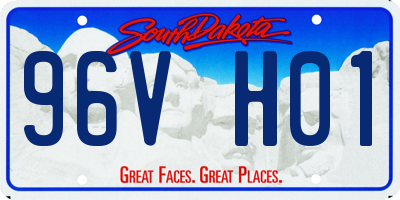 SD license plate 96VH01