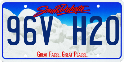 SD license plate 96VH20