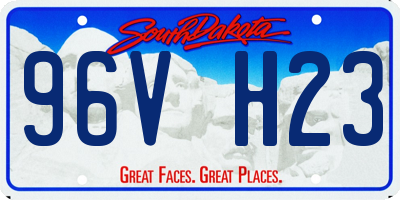 SD license plate 96VH23
