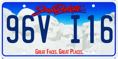 SD license plate 96VI16