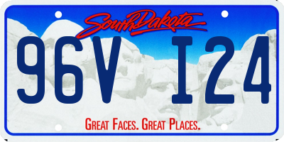 SD license plate 96VI24