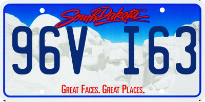 SD license plate 96VI63