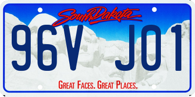 SD license plate 96VJ01