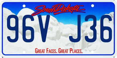 SD license plate 96VJ36