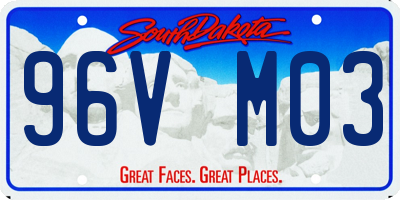SD license plate 96VM03