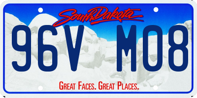 SD license plate 96VM08