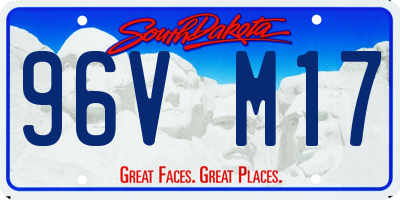 SD license plate 96VM17